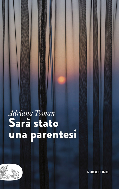 Sar&agrave; stato una parentesi