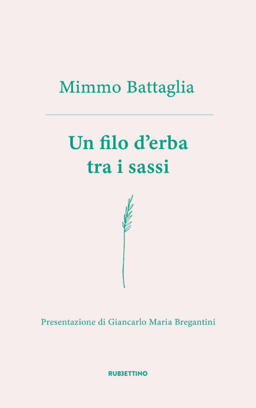 Un filo d'erba tra i sassi