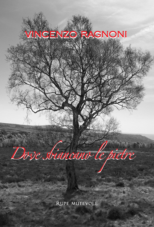 Dove sbiancano le pietre