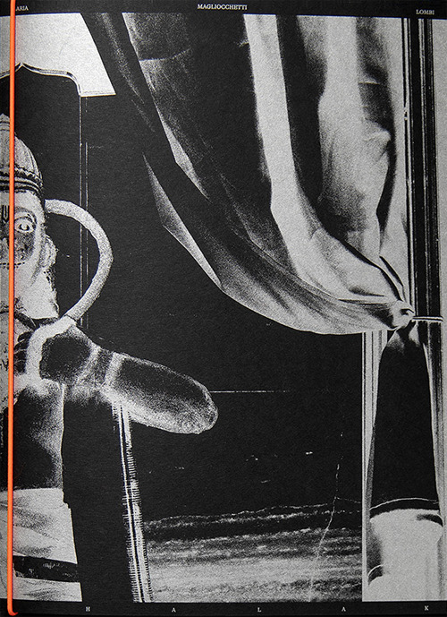 Jhalak. Ediz. italiana e inglese