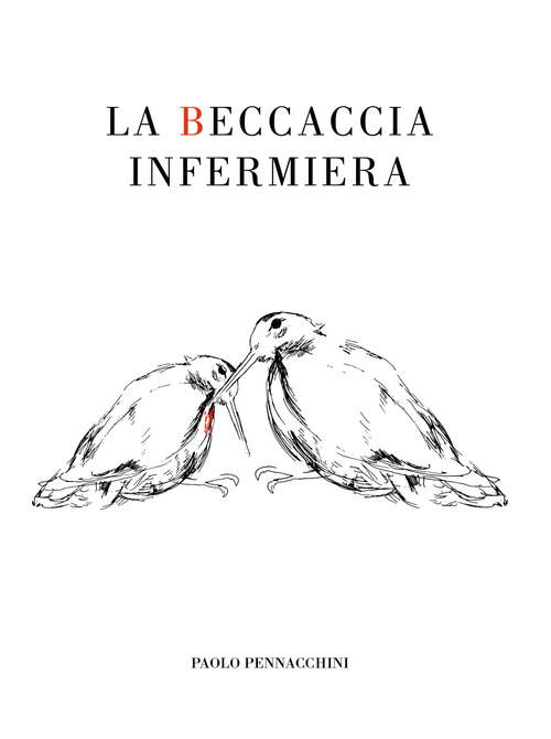 La beccaccia infermiera