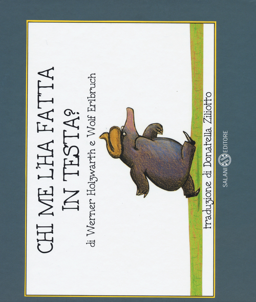 Photo gallery principale