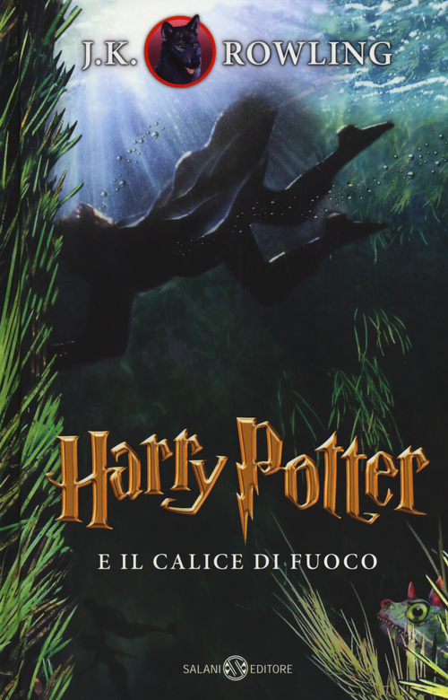 Harry Potter e il calice di fuoco