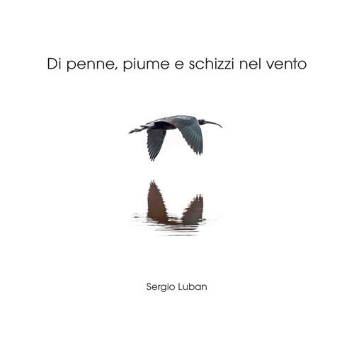 Di penne, piume e schizzi nel vento