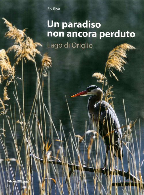 Un paradiso non ancora perduto. Lago di Origlio