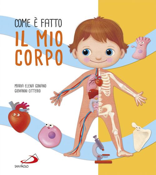 Com'è fatto il mio corpo