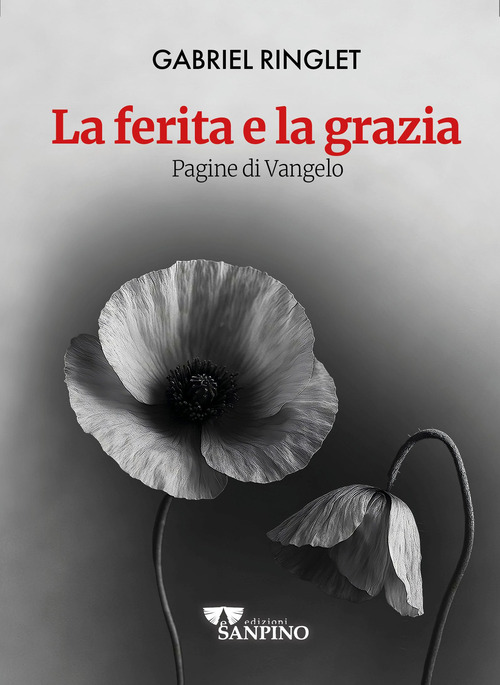 La ferita e la grazia. Pagine di Vangelo