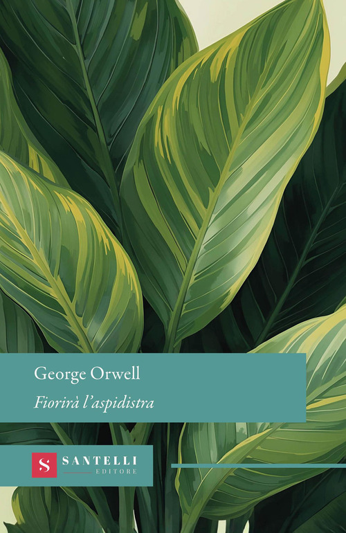 Fiorir&agrave; l'aspidistra