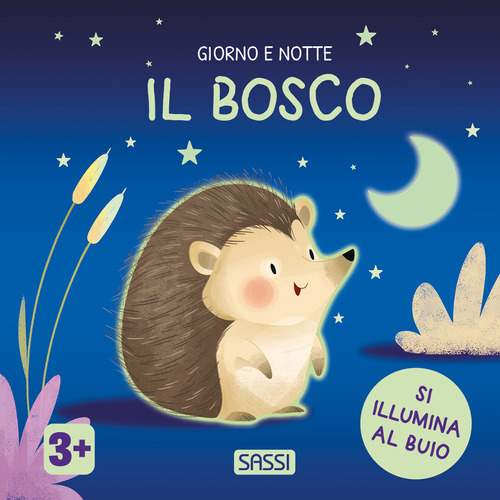 Il bosco. Giorno e notte