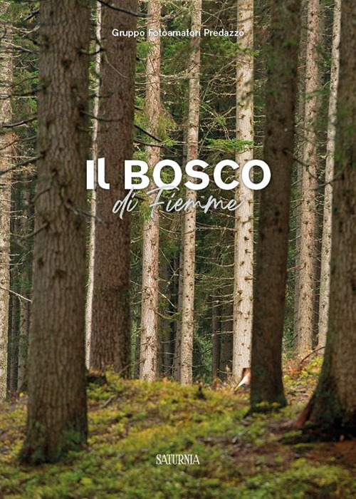 Bosco di Fiemme