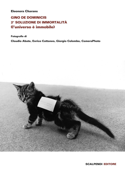 Gino De Dominicis. 2ª soluzione di immortalità (l'universo è immobile)