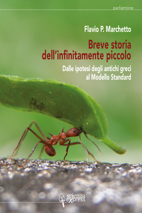 Breve storia dell'infinitamente piccolo