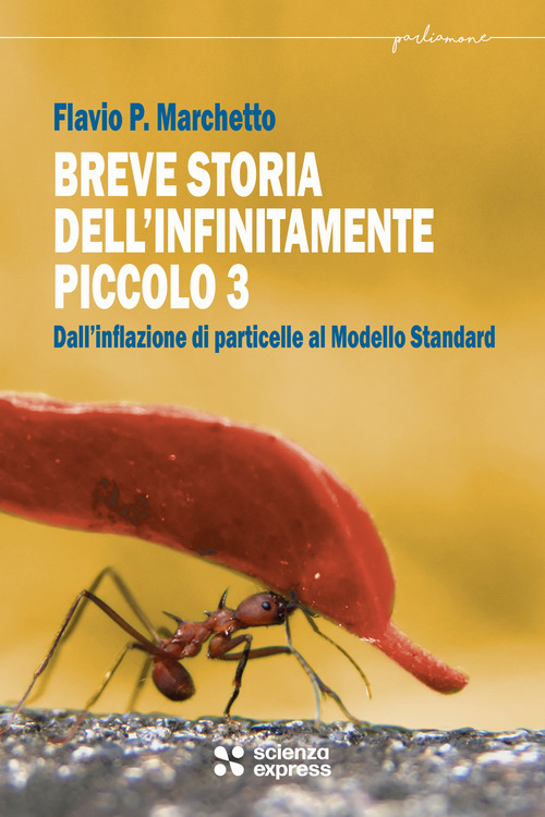 Breve storia dell'infinitamente piccolo