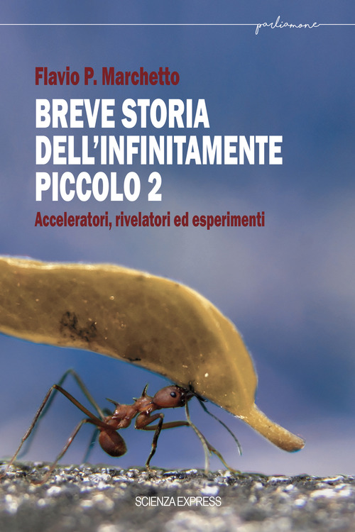 Breve storia dell'infinitamente piccolo