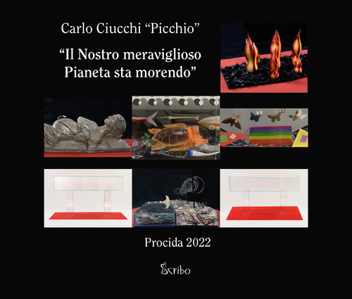 "Il nostro meraviglioso pianeta sta morendo"