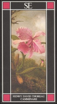 Photo gallery principale