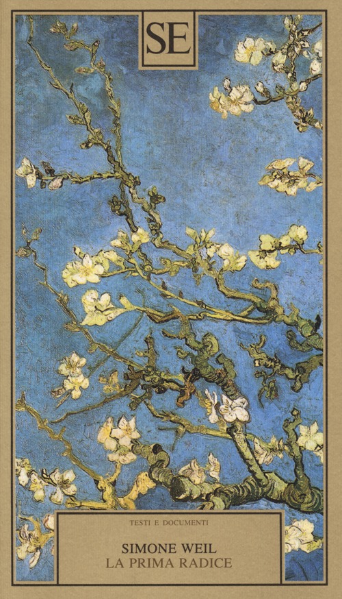 Photo gallery principale