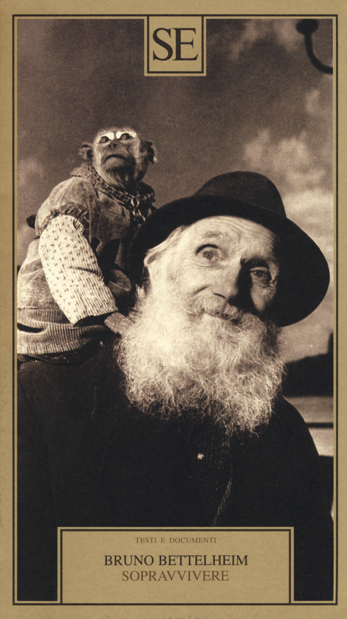 Photo gallery principale