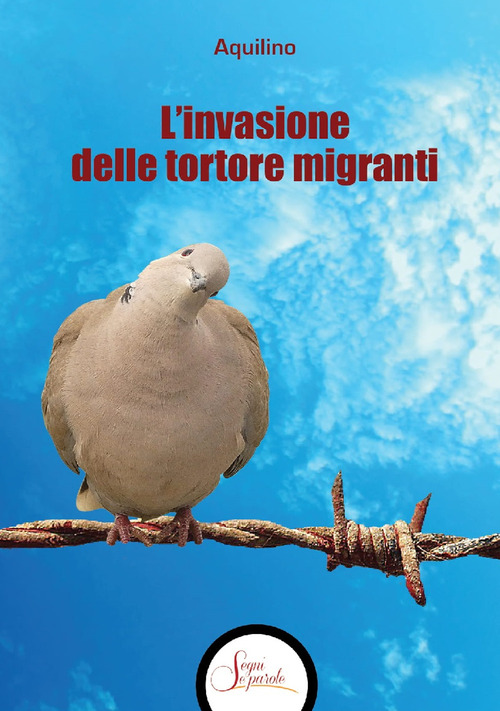Photo gallery principale