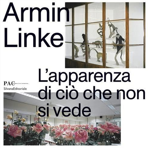 Photo gallery principale