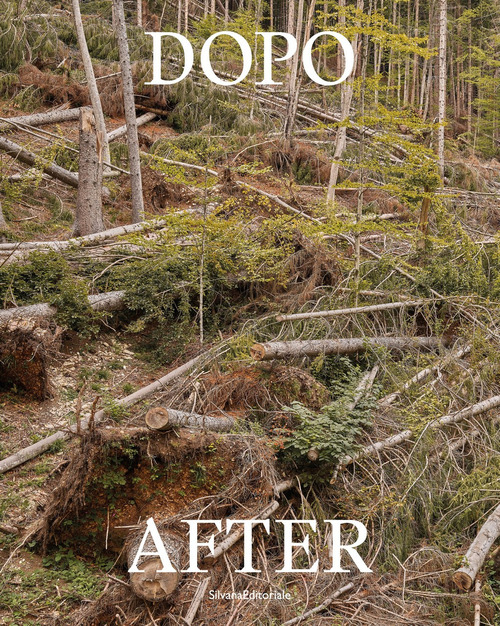 Dopo/After. Arte Sella. Ediz. italiana e inglese