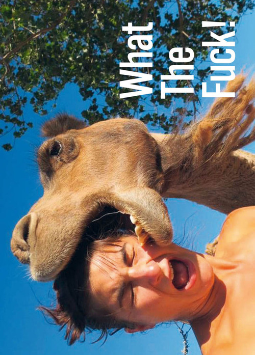 Photo gallery principale