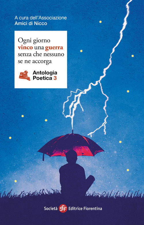 Ogni giorno vinco una guerra senza che nessuno se ne accorga. Antologia poetica