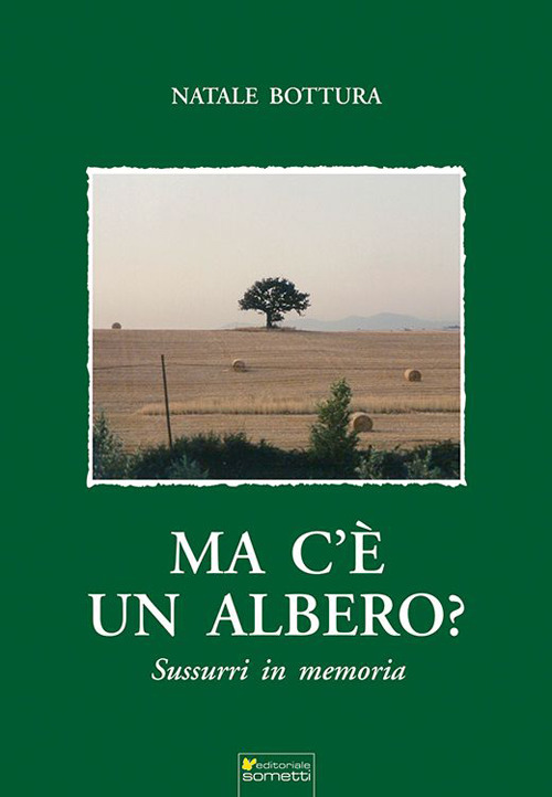Ma c'&egrave; un albero?