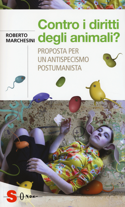 Photo gallery principale