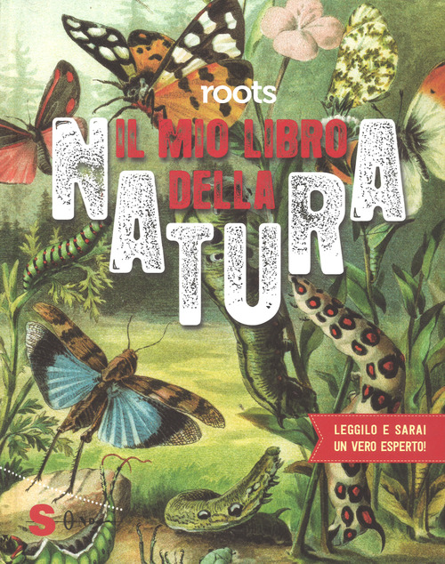 Photo gallery principale