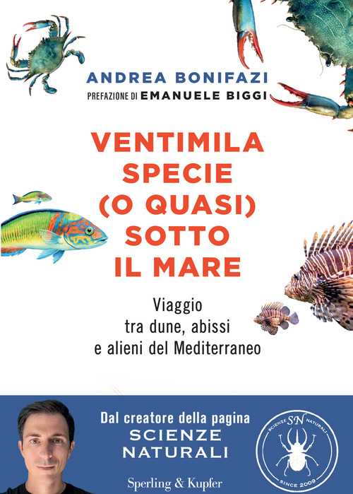 Ventimila specie (o quasi) sotto il mare. Viaggio tra dune, abissi e alieni del Mediterraneo