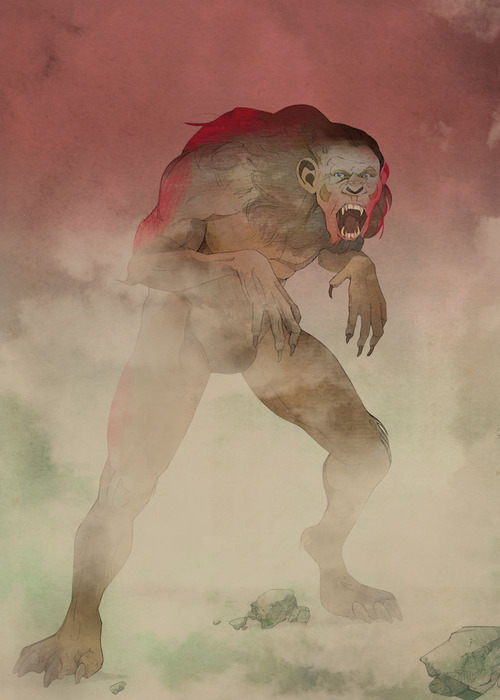 Morfo blu. L'altra metà del mondo