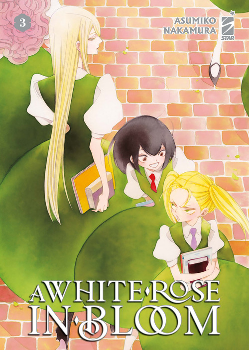 A white rose in bloom