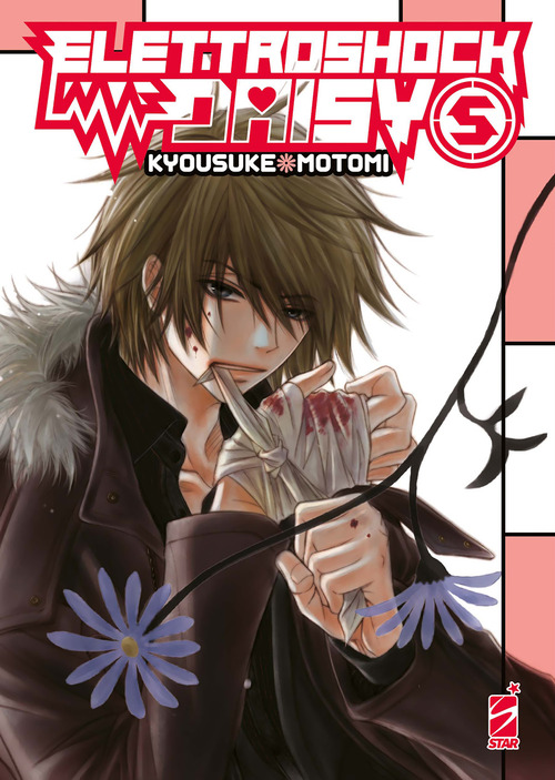 Photo gallery principale