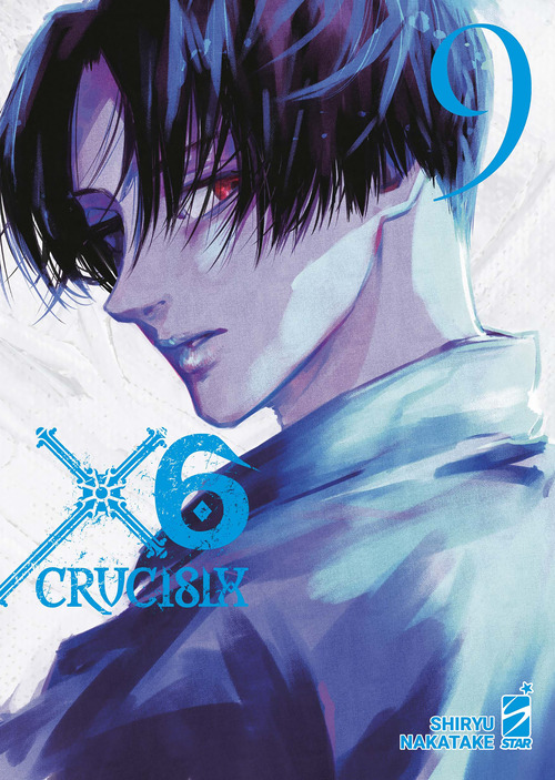 X6. Crucisix