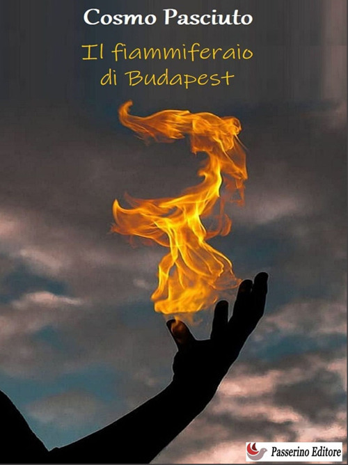 Il fiammiferaio di Budapest