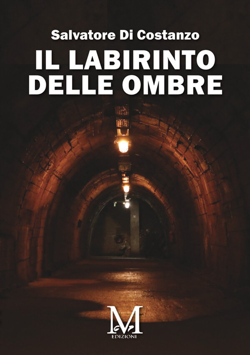 Il labirinto delle ombre