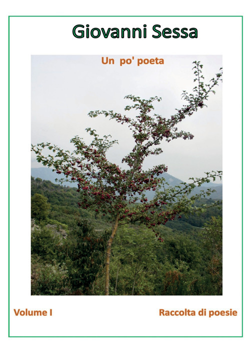 Photo gallery principale