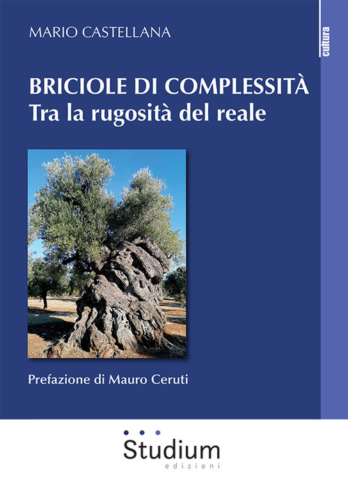 Briciole di complessit&agrave;. Tra la rugosit&agrave; del reale