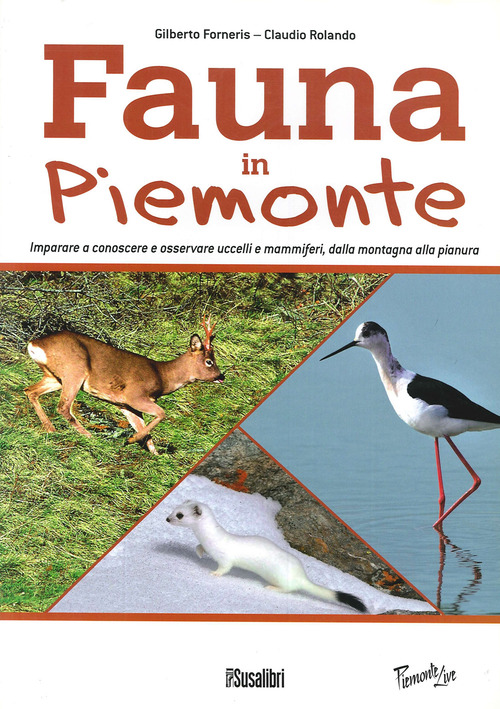 Photo gallery principale