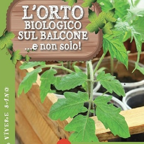 L'orto biologico sul balcone... e non solo!