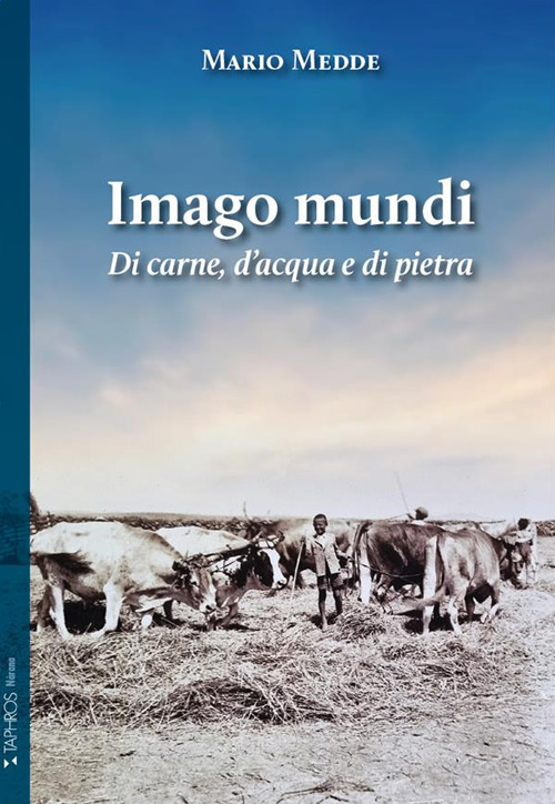 Photo gallery principale