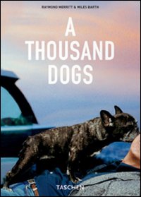 A Thousand Dogs