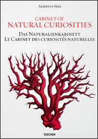 Albertus Seba. Cabinet of natural curiosities