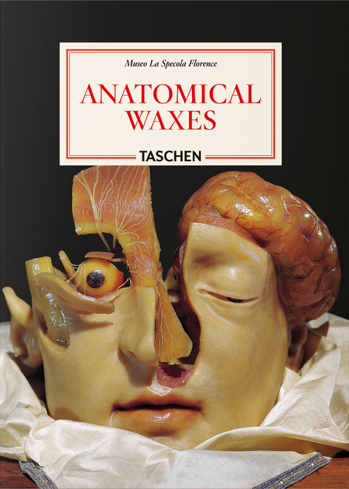 Anatomical waxes. 45th Ed. Ediz. inglese, francese e tedesca