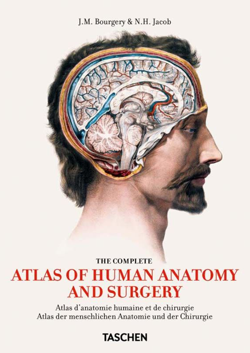 Bourgery. Atlas de anatomía humana y cirugía. Ediz. italiana, spagnola, portoghese