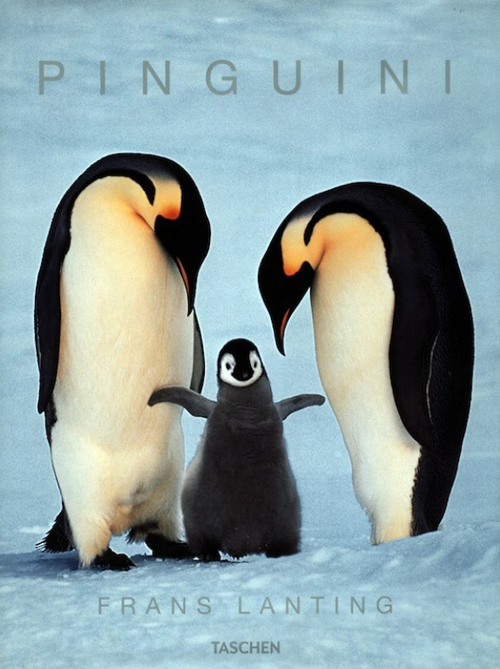 I pinguini