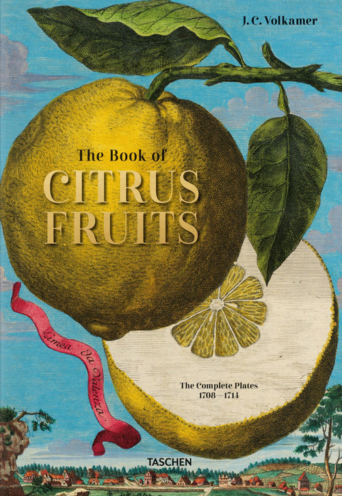 Johann Christoph Volkamer. The book of citrus fruits. Ediz. inglese, francese, tedesca