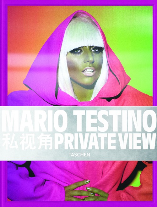 Mario Testino, private view
