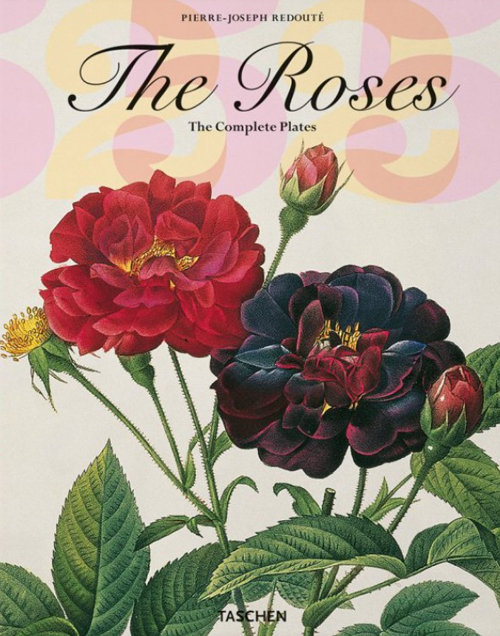 Roses. Ediz. italiana